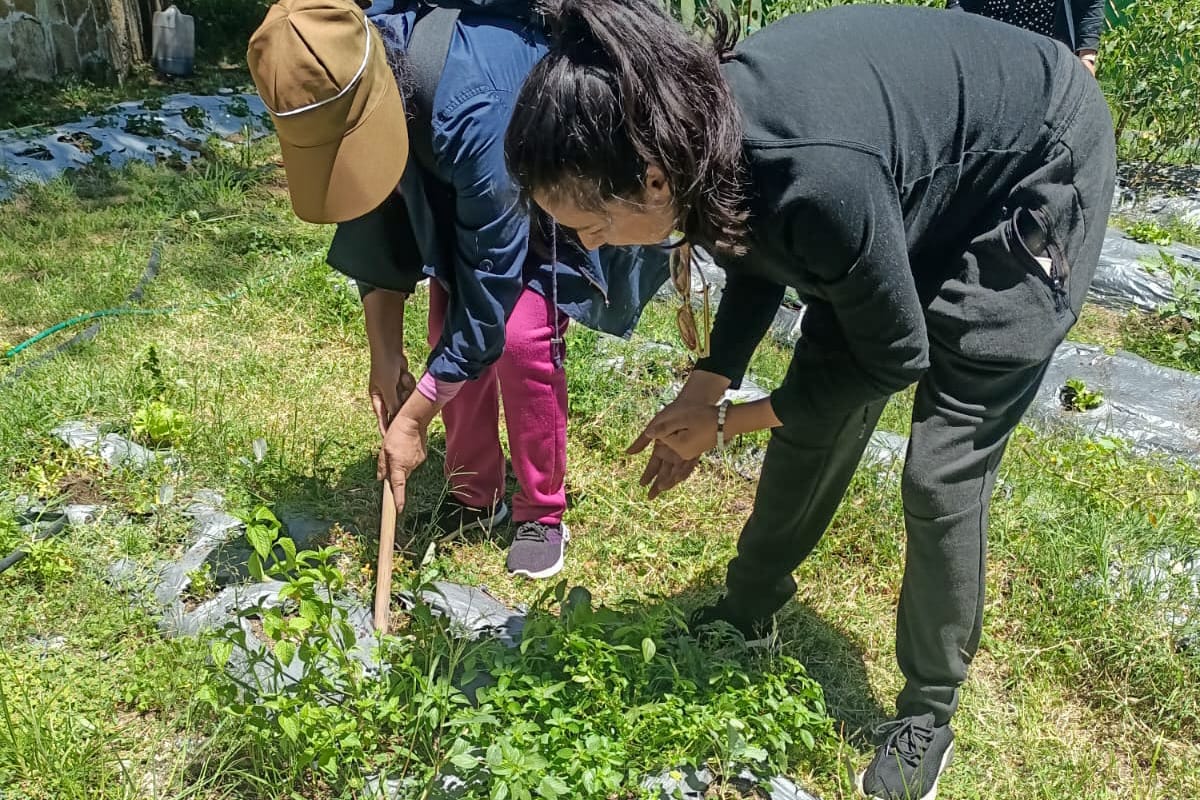Mujeres que buscan empoderamiento económico inician curso 'Huertos Familiares' con respaldo del Ayuntamiento de Tlaxcala